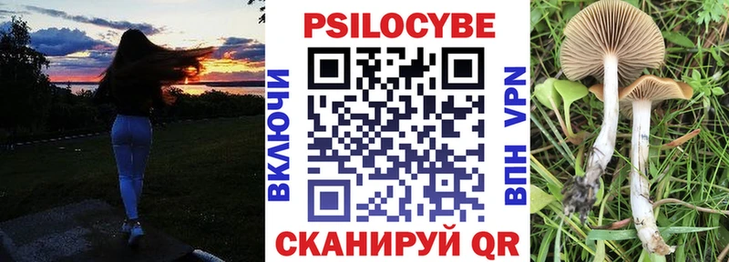 kraken как войти  Инза  Псилоцибиновые грибы мухоморы  цена наркотик 